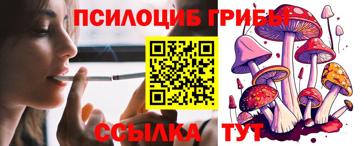 Котлас  Псилоцибиновые грибы Psilocybine cubensis  Псилоцибиновые грибы мицелий  Вход с VPN 